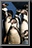 Penguin_08.jpg