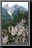 075_Dolomites.jpg